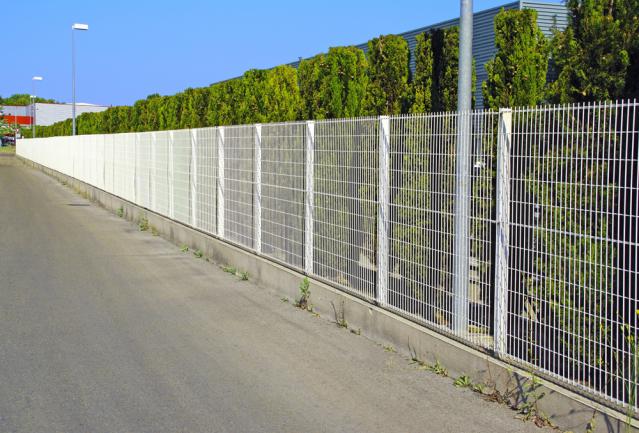 Cache grillage en cyprès