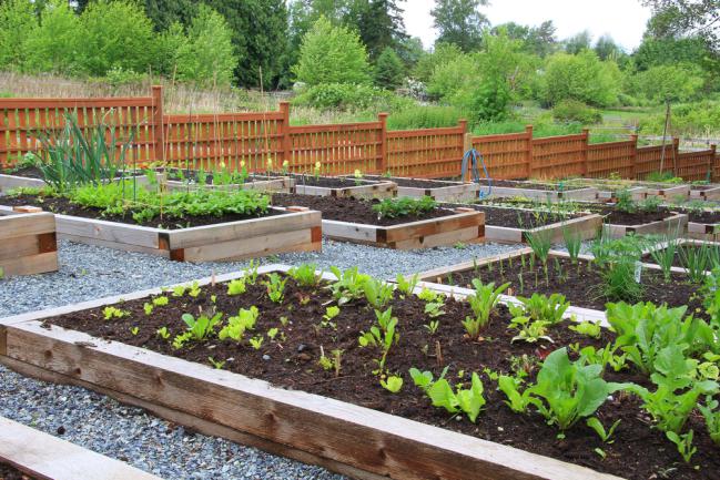 Carrés potagers organisés en pente