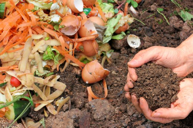 Composter les déchets directement au sol