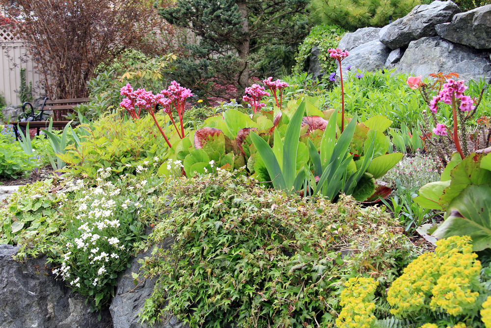 PROTECTION HIVERNALE - Jardin Pro - Centre jardin, entretien et aménagement  paysager