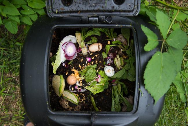 Déchets de cuisine à transformer en compost