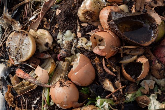 Déchets de cuisine mélangés avec du marc de café pour accélérer le compostage