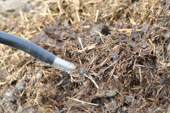 Fumier de cheval mélangé avec du foin