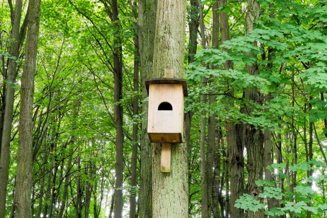 Hébergement pour chauve-souris