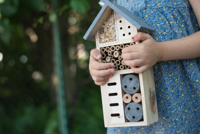 Installer un hôtel pour insectes