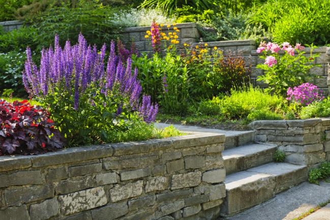 Jardin en pente aménagé avec des marches en pierre