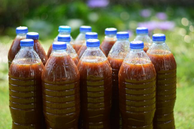 Jus de banane utilisé pour le jardinage