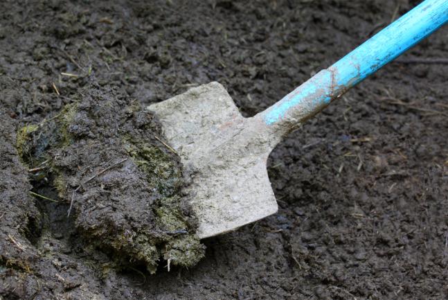 Quel fumier choisir pour son jardin