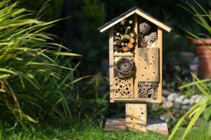 Refuge pour la faune du jardin (abri pour coccinelles, papillons et abeille)