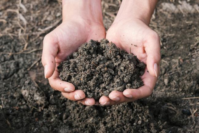 Sol reconstitué et contrôlé écologiquement pour la plantation