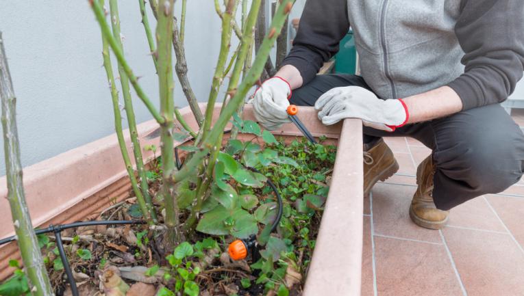 Système arrosage goutte a goutte pour intérieur