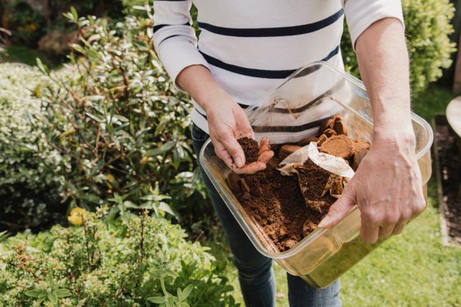 Utilisation du marc de café dans le jardin