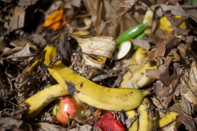 Utiliser la peau de banane dans le compost