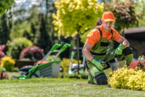 jardinier professionnel