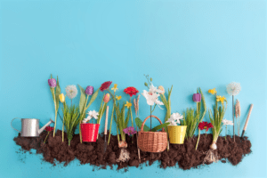 8-fleurs-a-planter-en-avril