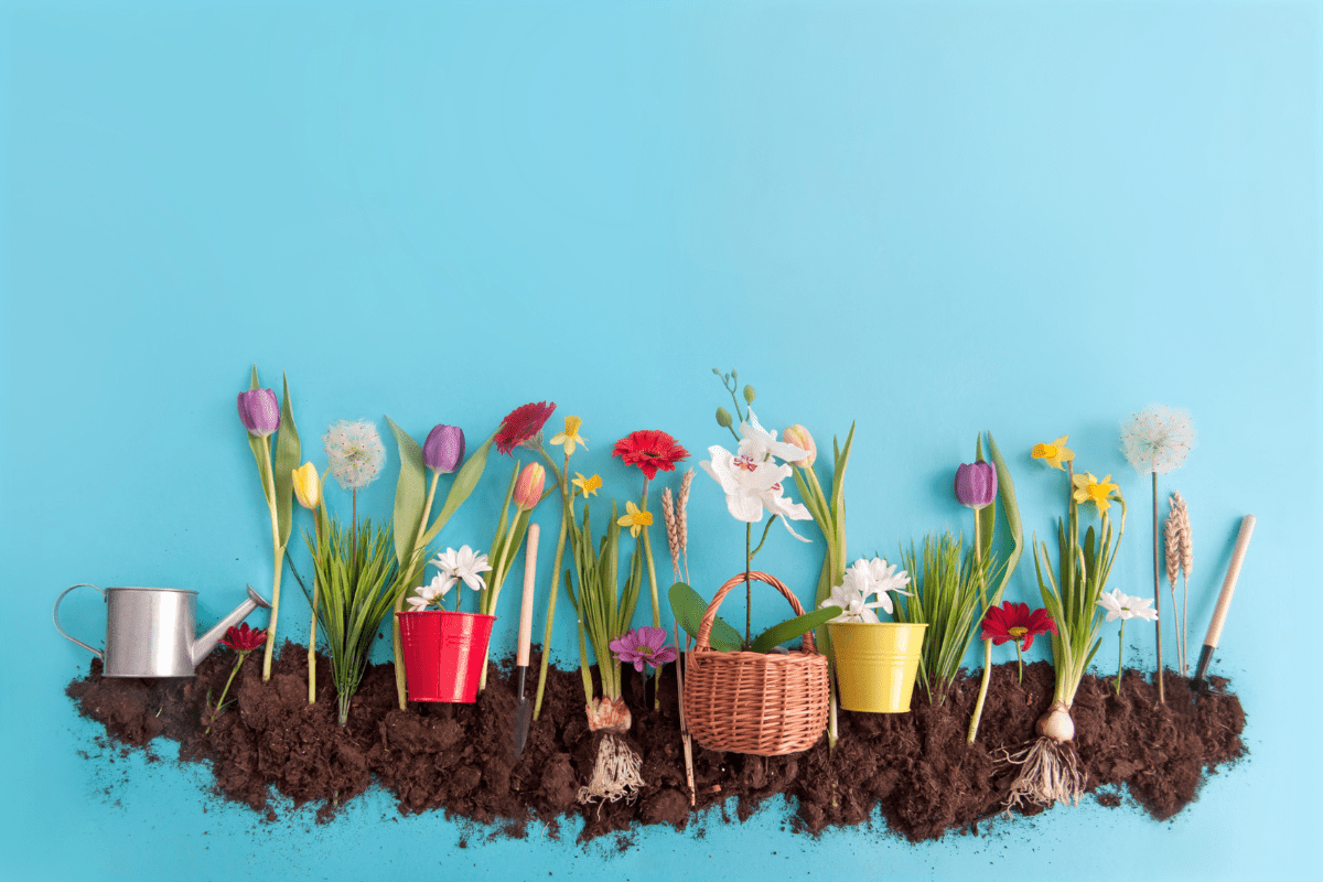 8-fleurs-a-planter-en-avril