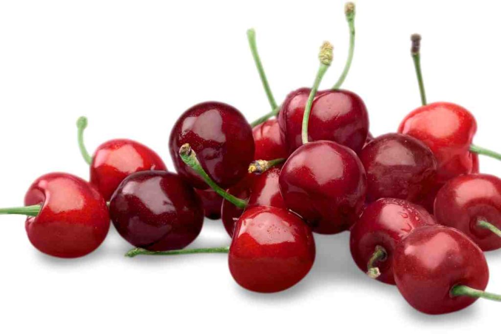 cerises-ne-pas-semer-en-avril