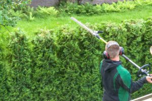 erreurs-a-eviter-avec-un-taille-haie