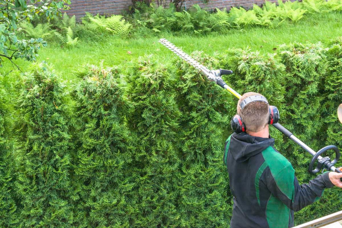 erreurs-a-eviter-avec-un-taille-haie