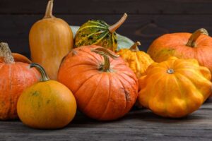 varietes-de-courges