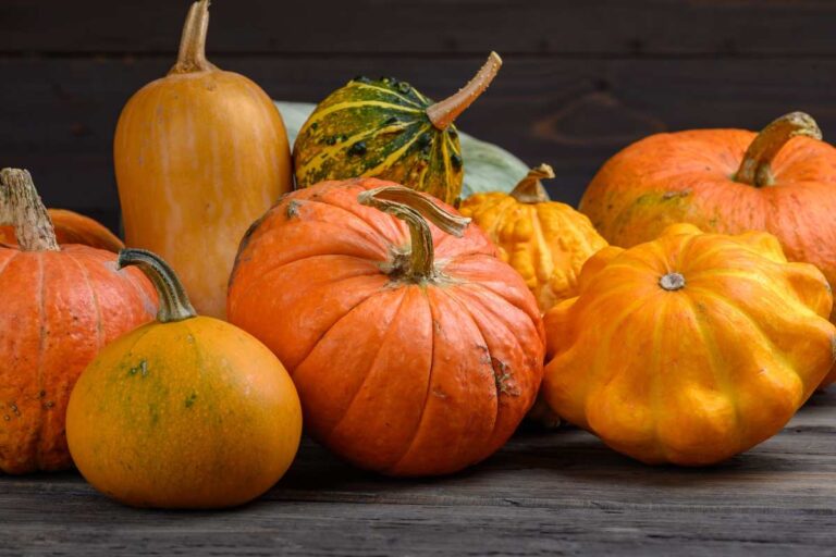 Graines de courge - L'Epicerie Vrac de Claire