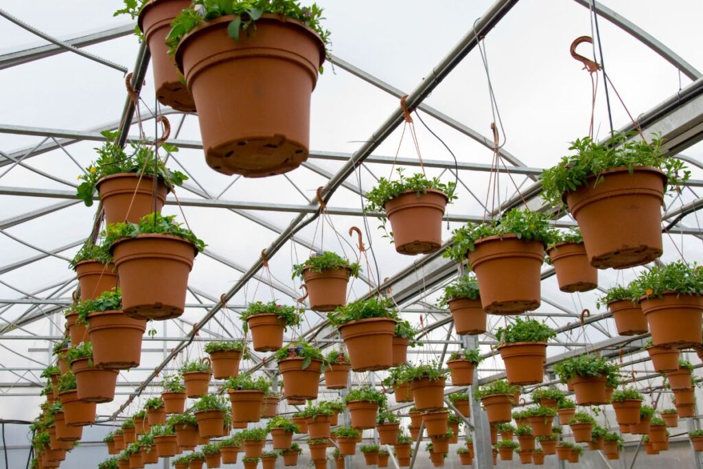 pots-suspendus-serre-jardin